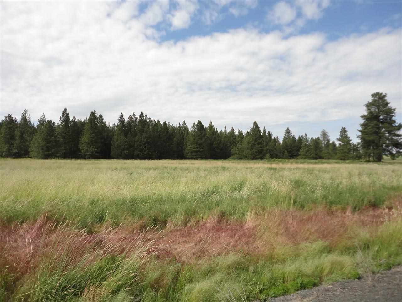 29212 South North Kentuck Trails Road Spangle, WA 99031 - Photo 6 of 15