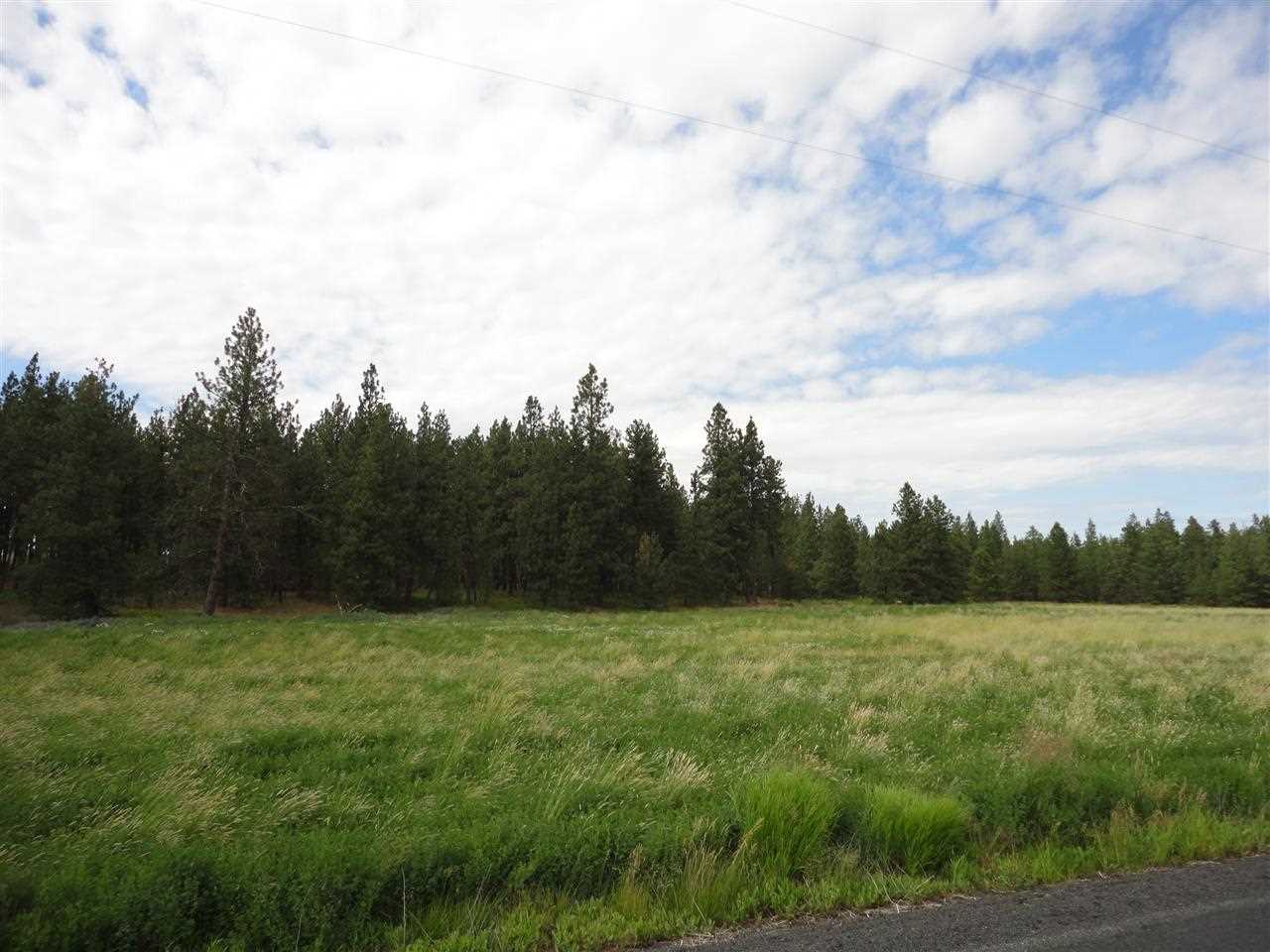 29212 South North Kentuck Trails Road Spangle, WA 99031 - Photo 7 of 15