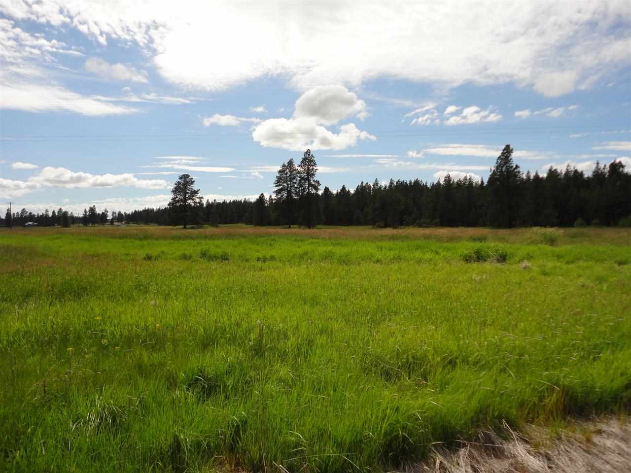 29212 South North Kentuck Trails Road Spangle, WA 99031 - Photo 8 of 15