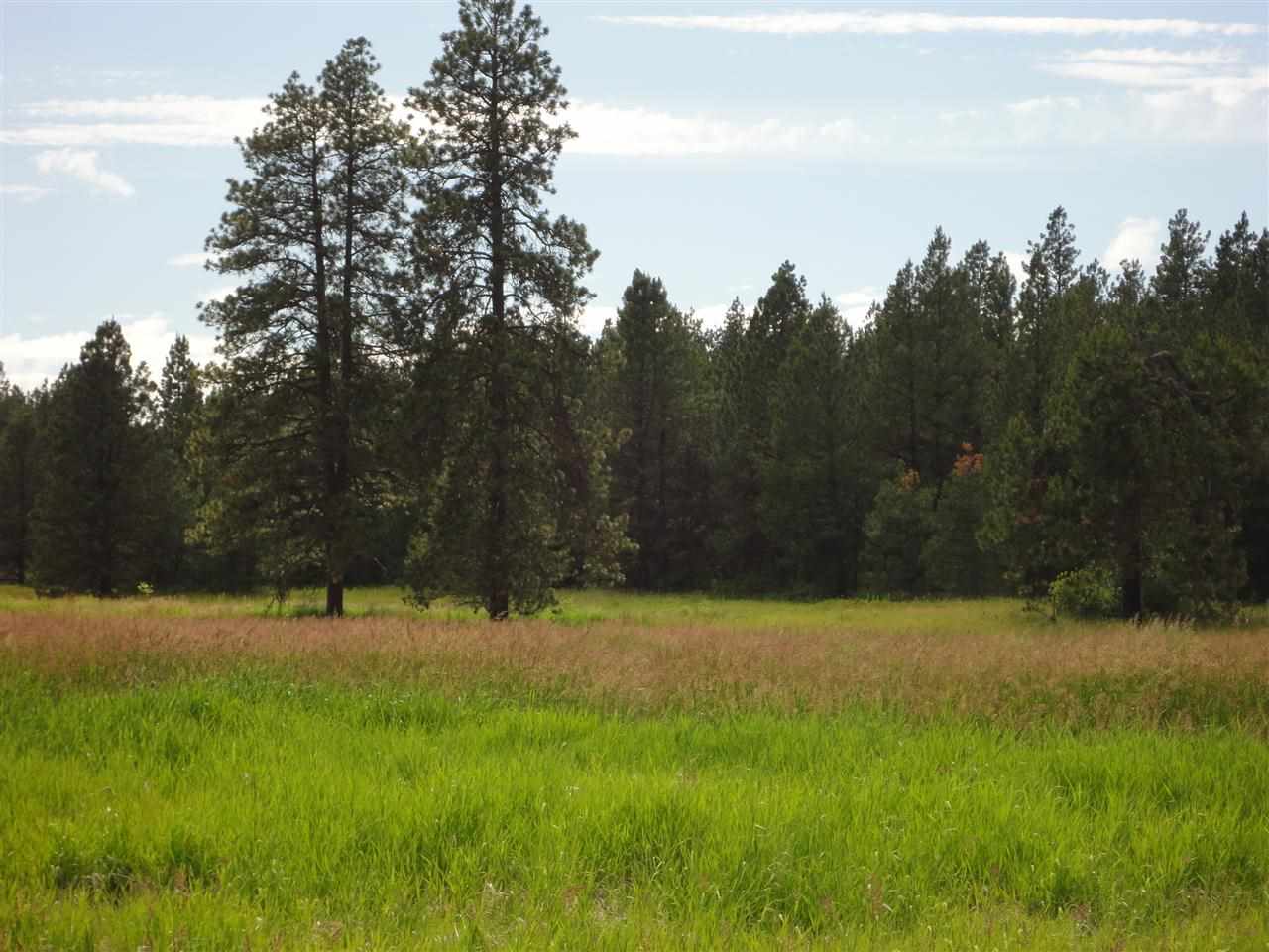 29212 South North Kentuck Trails Road Spangle, WA 99031 - Photo 9 of 15
