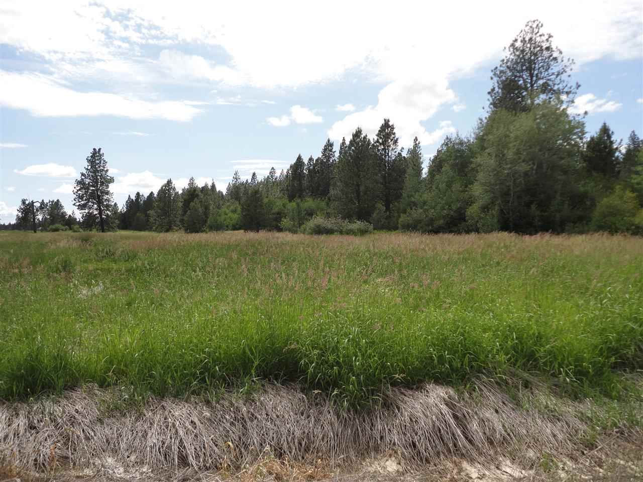 29212 South North Kentuck Trails Road Spangle, WA 99031 - Photo 10 of 15