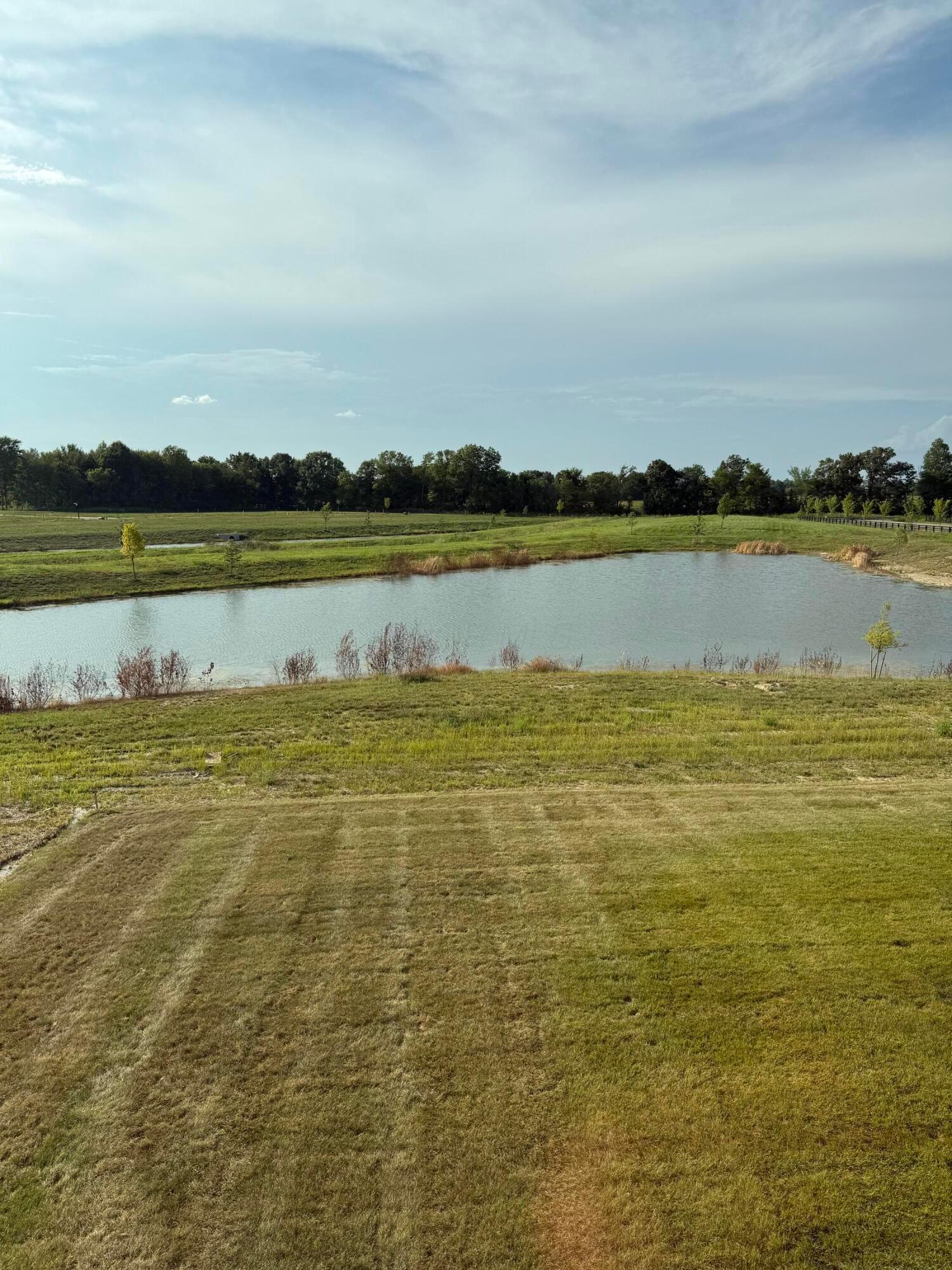 9114 Crane Ridge Plain City, OH 43064 - Photo 20 of 20 IMG_1678