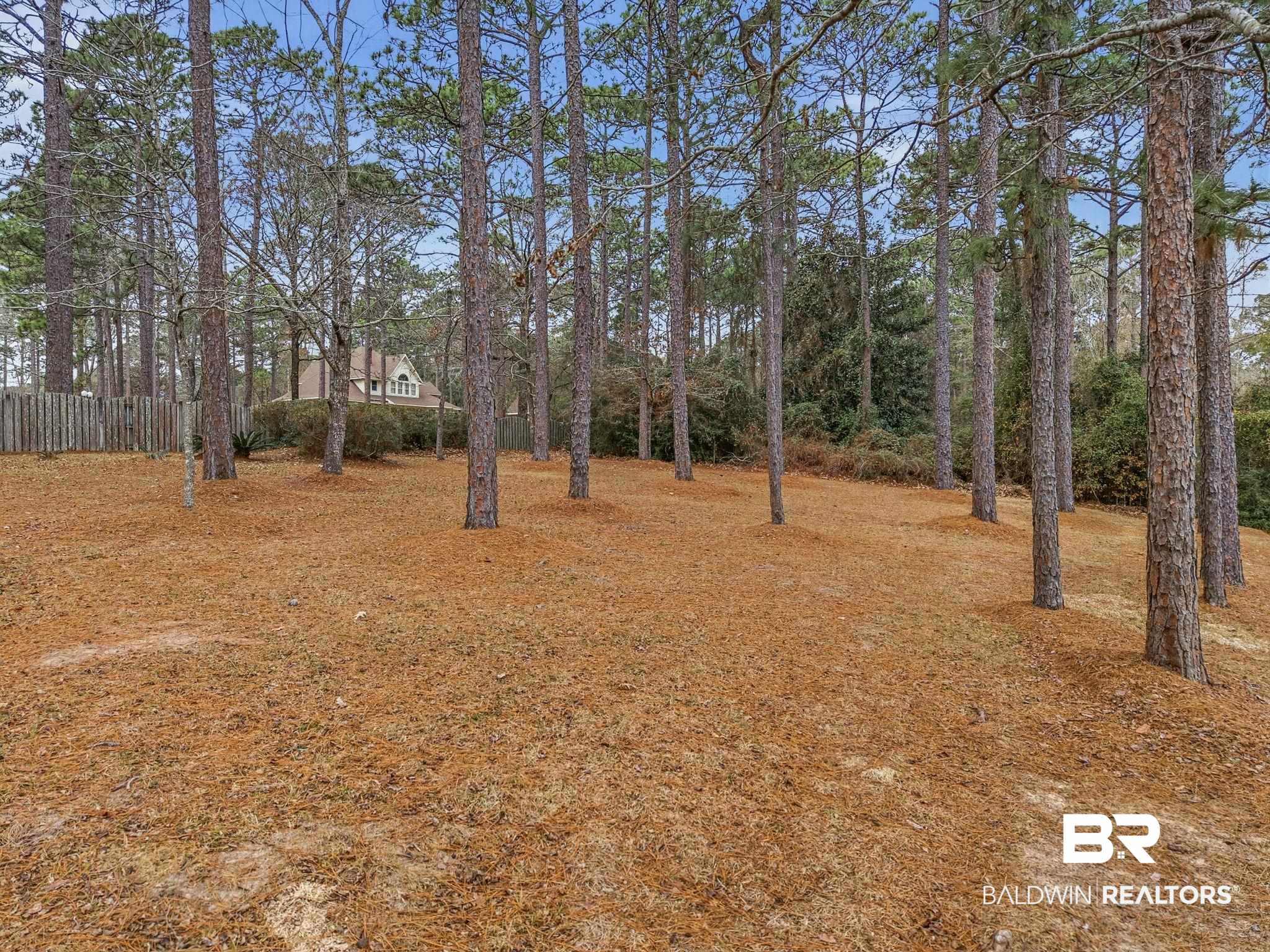 31515 Rhett Drive Spanish Fort, AL 36527 - Photo 99 of 100 Backyard
