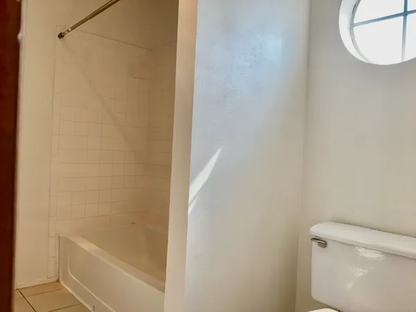 a bathroom with a shower and a toilet