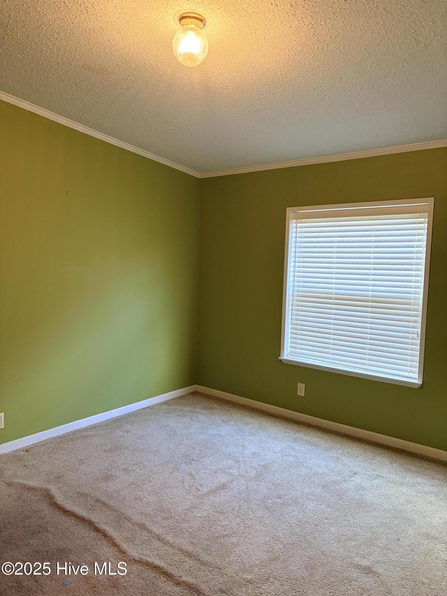 467 Whitehead Road Enfield, NC 27823 - Photo 12 of 20 467Whiteheadbedroom2
