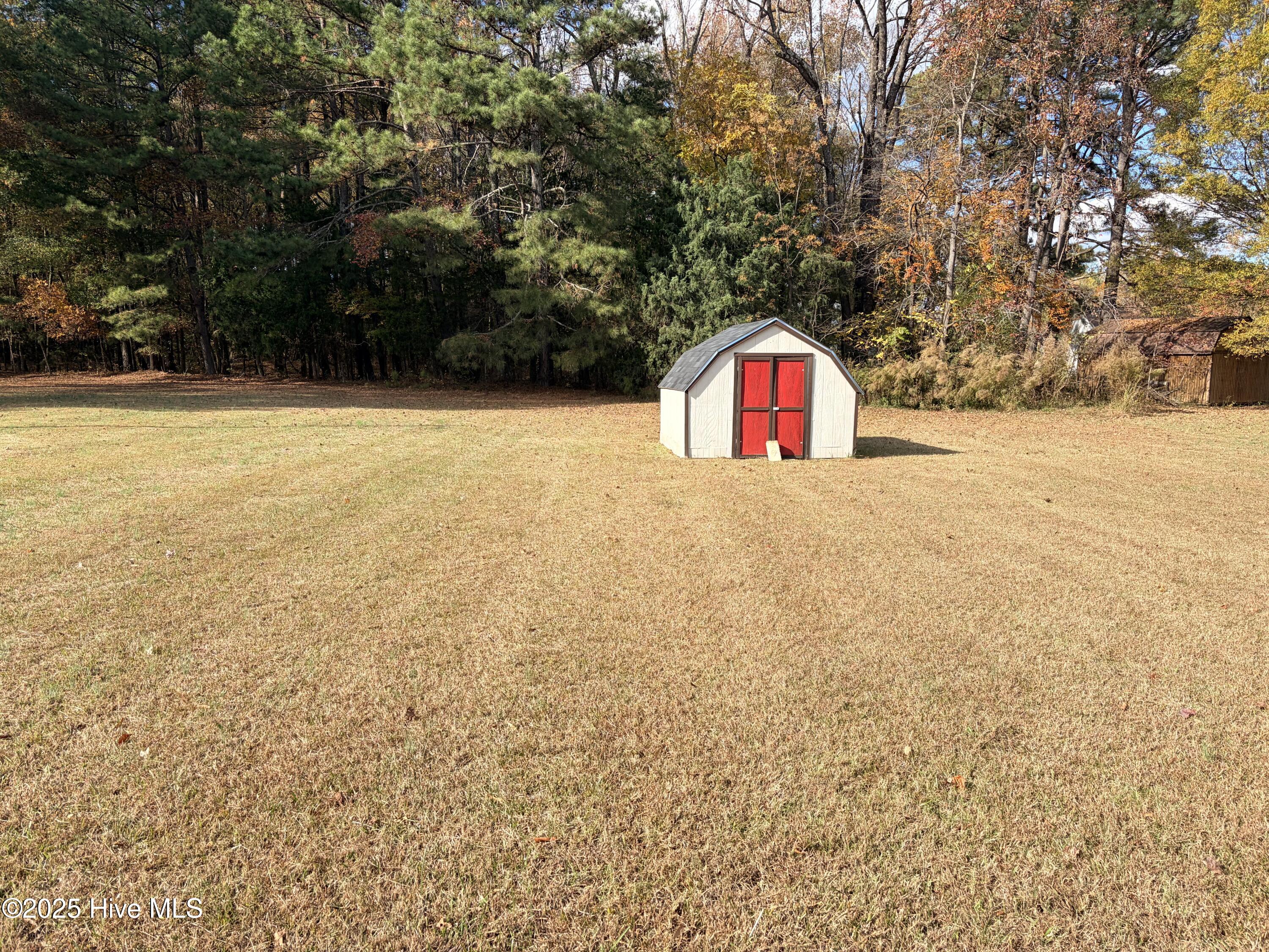 467 Whitehead Road Enfield, NC 27823 - Photo 15 of 20 467WhiteheadShedBackyard