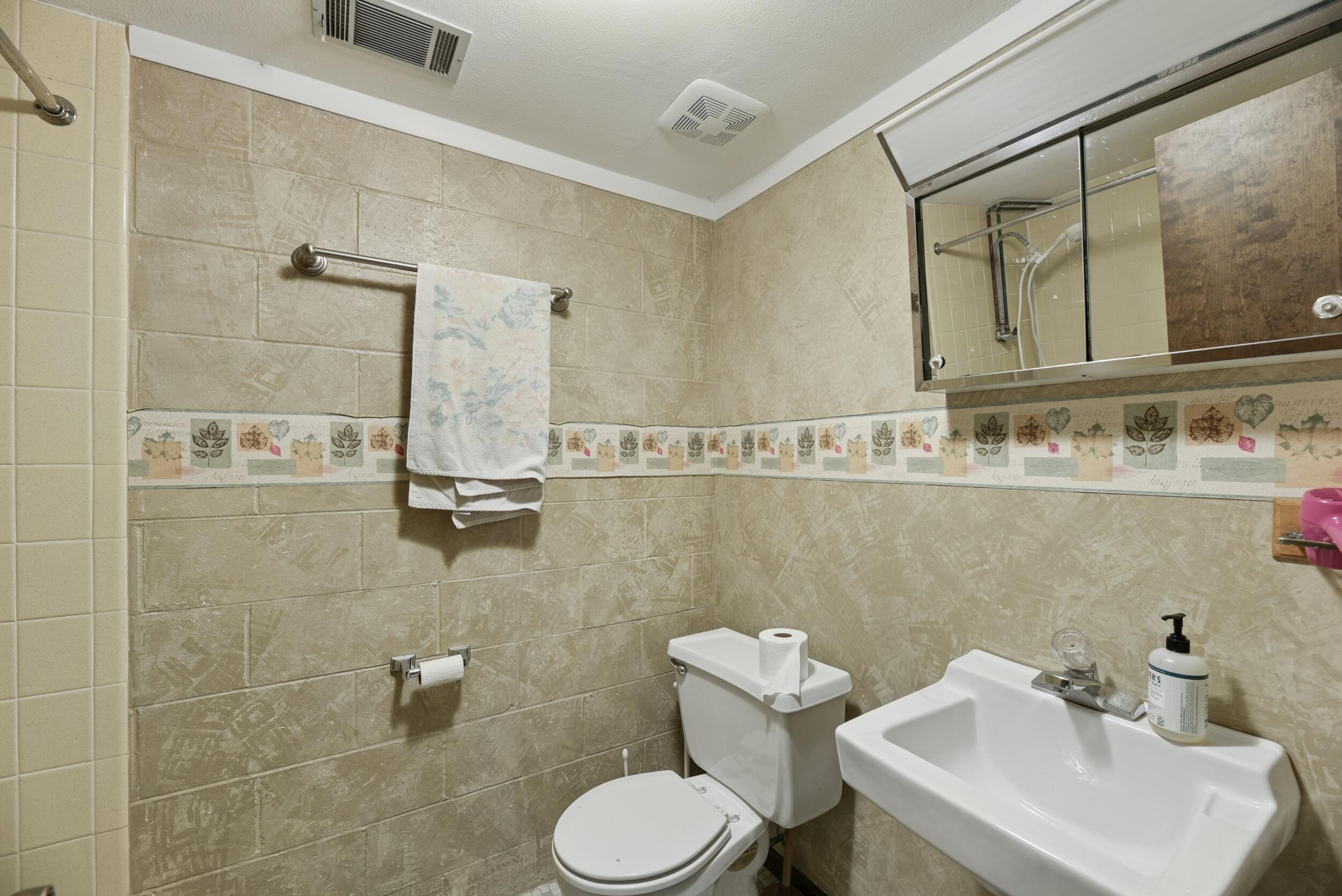 5810 Ridge Road Stevensville, MI 49127 - Photo 18 of 29 Basement Bath