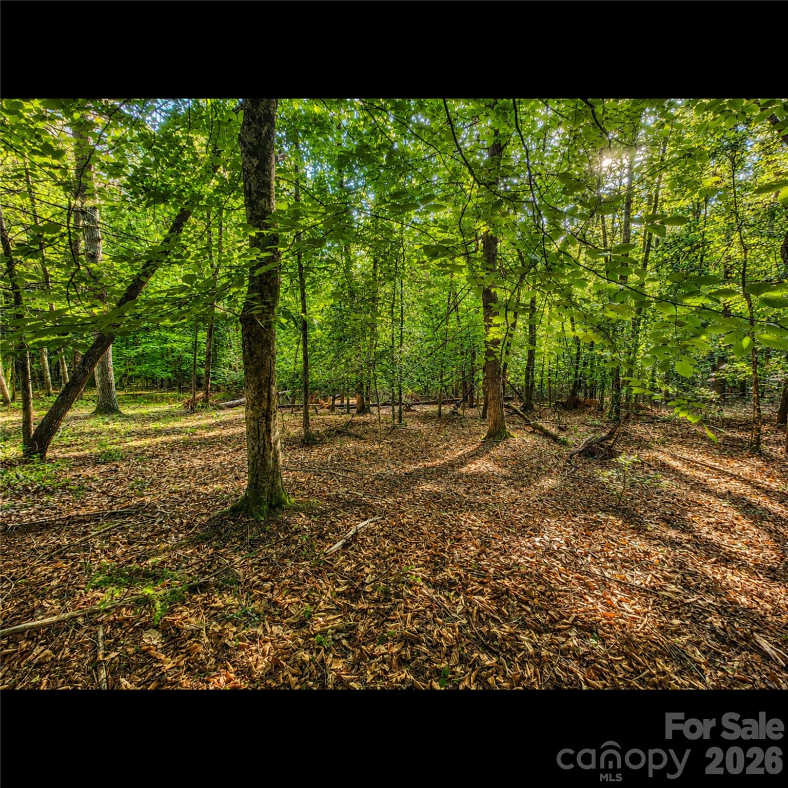 547 James View Road Marion, NC 28752 - Photo 7 of 9