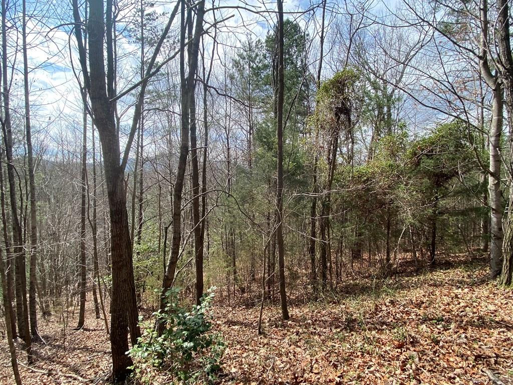 Lot 9 Turtle Ridge Trail Murphy, NC 28906 - Photo 1 of 10 Main View