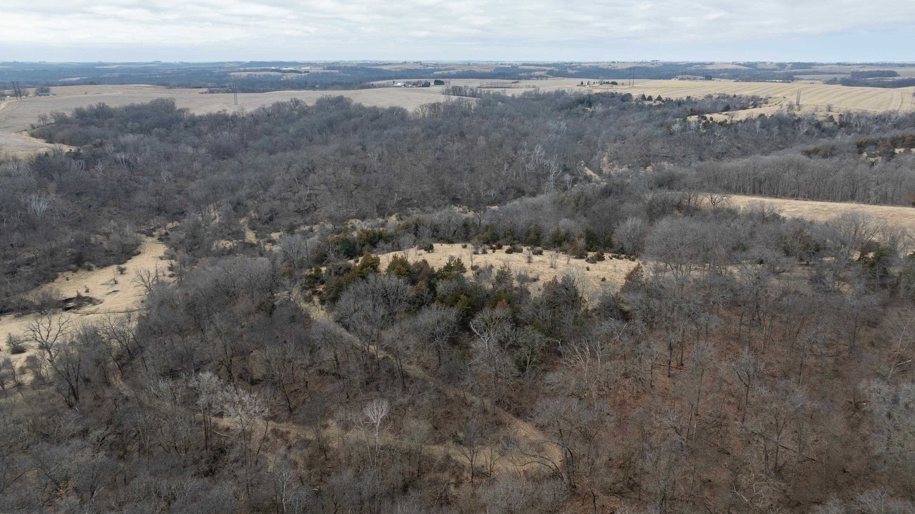 Lot 2 South 52nd Route Dubuque, IA 52003 - Photo 4 of 29 Gallery Image 4