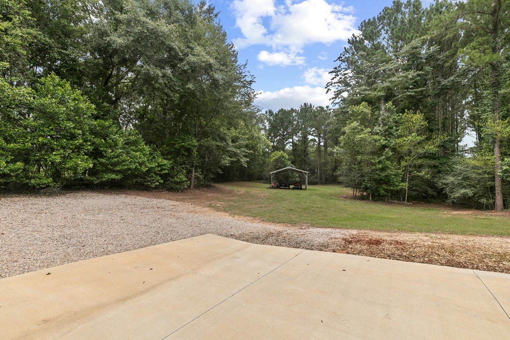 401 Macedonia Road Hartford, AL 36344 - Photo 49 of 61