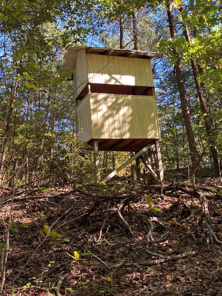 1194 Dogtown Road Ten Mile, TN 37880 - Photo 3 of 5 a view of a brick wall