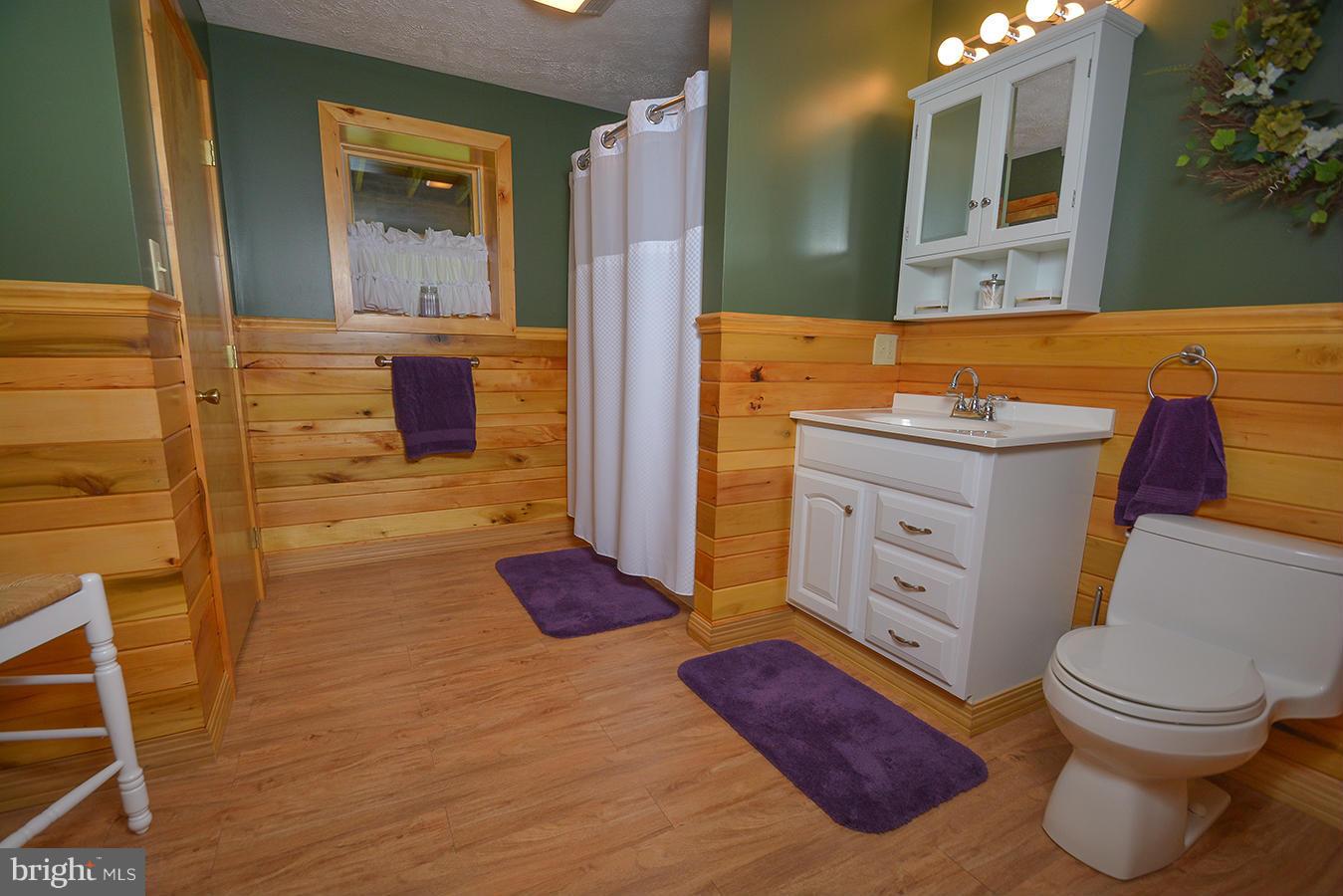 1655 Mayhew Inn Road Oakland, MD 21550 - Photo 25 of 30 Bath