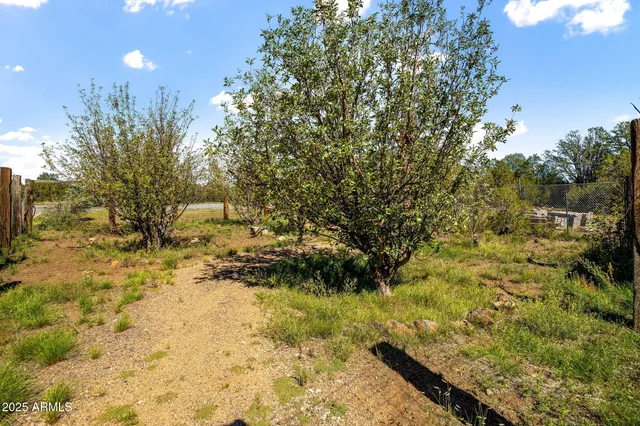 $985,000 | 70 Cr N3077 Vernon Az 85940, Show Low, AZ 85901