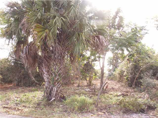 0 Southeast Lyons Road Hobe Sound, FL 33455 - Photo 2 of 10 Gallery Image 2