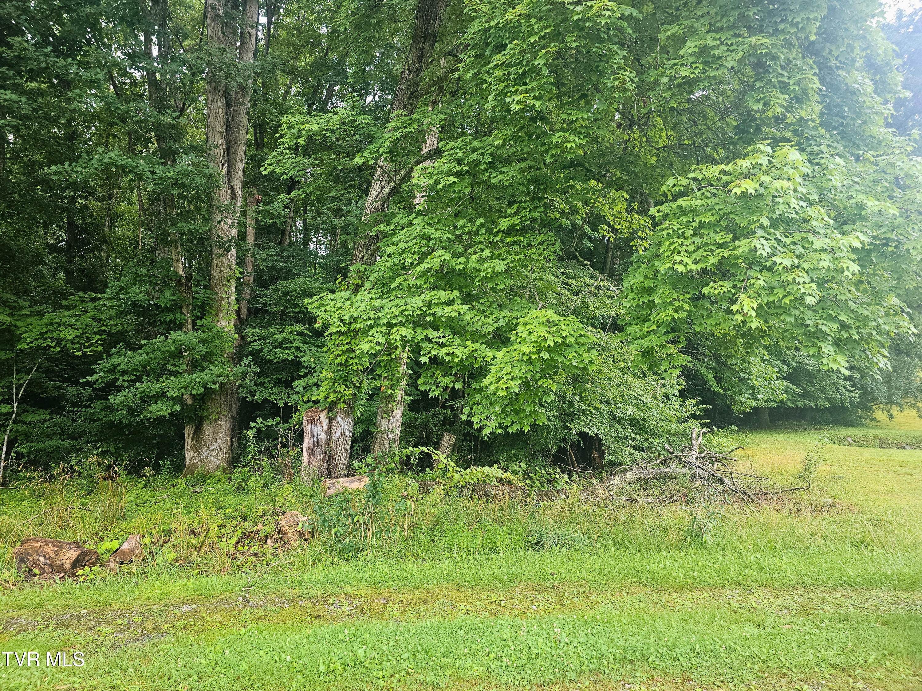 Tbd Gardner Heights Road, Unit 9 Norton, VA 24273 - Photo 5 of 14 property view