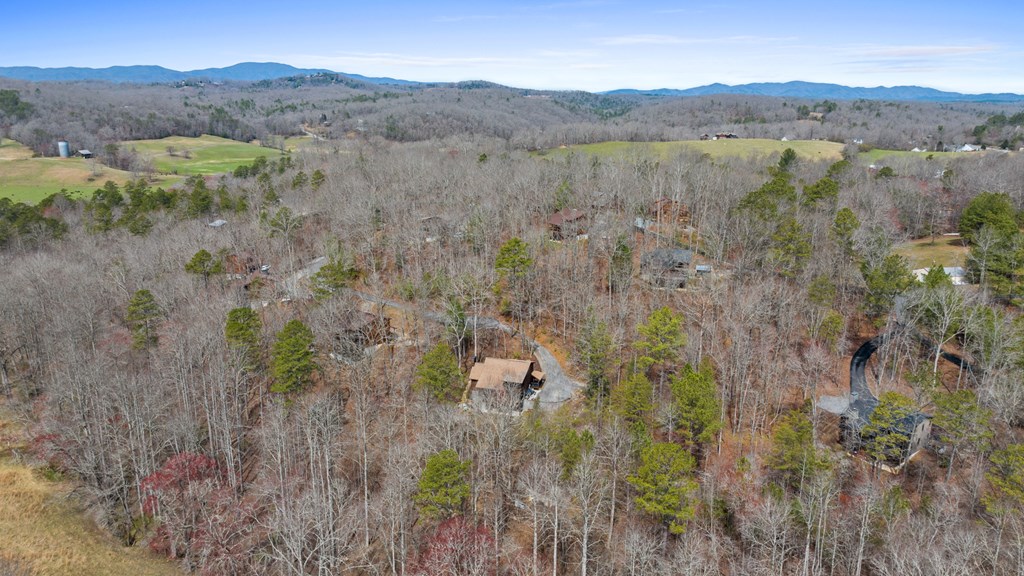 111 Windy Valley Lane Blue Ridge, GA 30513 - Photo 38 of 45 Prime Location