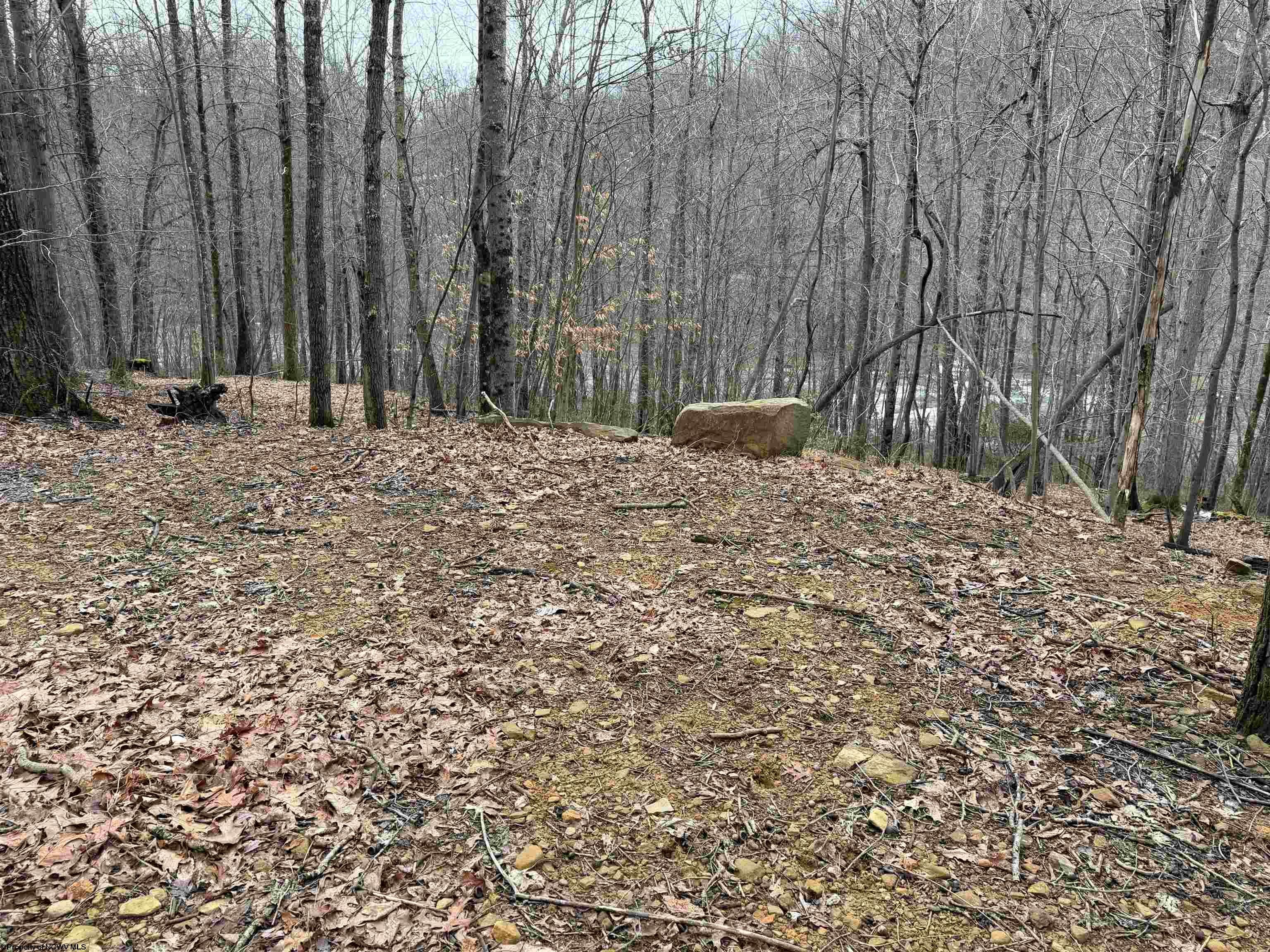 Tbd Carrolton Road Buckhannon, WV 26201 - Photo 26 of 37 Gallery Image 26