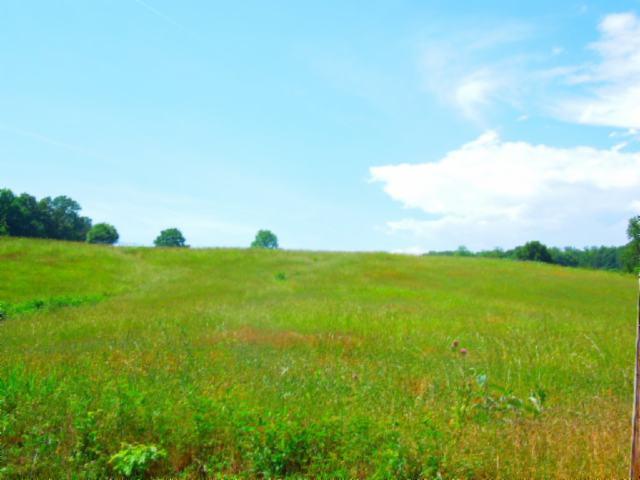 8.37-ac Reeder Town Road Byrdstown, TN 38549 - Photo 2 of 24 02