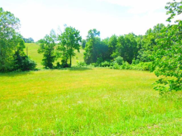 8.37-ac Reeder Town Road Byrdstown, TN 38549 - Photo 11 of 24 11