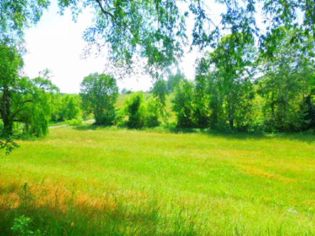 8.37-ac Reeder Town Road Byrdstown, TN 38549 - Photo 12 of 24 12
