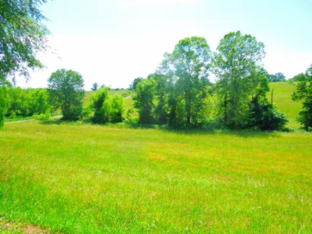 8.37-ac Reeder Town Road Byrdstown, TN 38549 - Photo 13 of 24 13