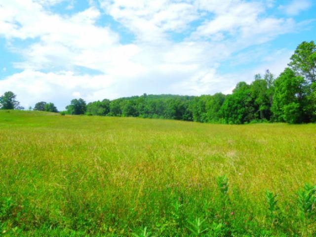 8.37-ac Reeder Town Road Byrdstown, TN 38549 - Photo 14 of 24 14