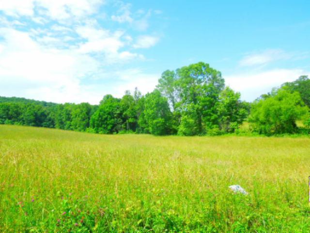 8.37-ac Reeder Town Road Byrdstown, TN 38549 - Photo 15 of 24 15