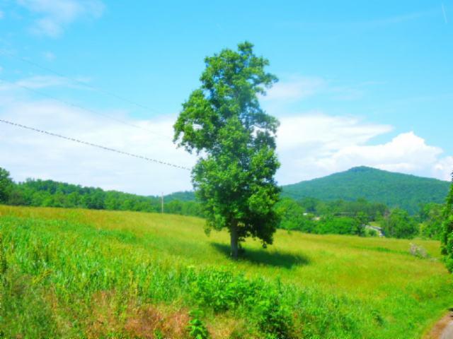 8.37-ac Reeder Town Road Byrdstown, TN 38549 - Photo 16 of 24 16