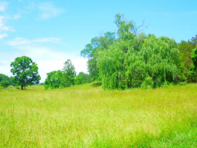 8.37-ac Reeder Town Road Byrdstown, TN 38549 - Photo 17 of 24 17