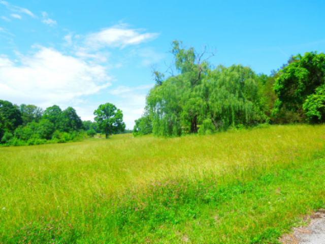 8.37-ac Reeder Town Road Byrdstown, TN 38549 - Photo 18 of 24 18
