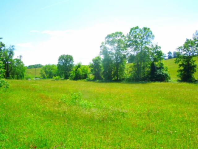 8.37-ac Reeder Town Road Byrdstown, TN 38549 - Photo 19 of 24 19