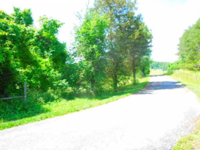 8.37-ac Reeder Town Road Byrdstown, TN 38549 - Photo 20 of 24 20