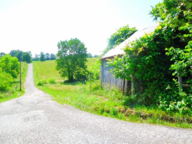 8.37-ac Reeder Town Road Byrdstown, TN 38549 - Photo 3 of 24 03