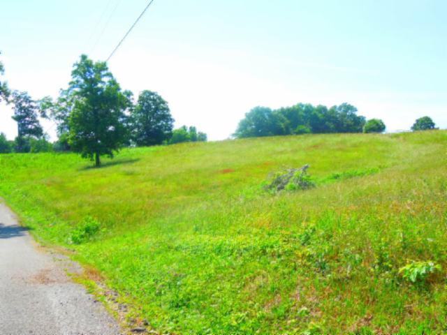 8.37-ac Reeder Town Road Byrdstown, TN 38549 - Photo 5 of 24 05