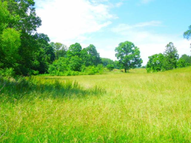 8.37-ac Reeder Town Road Byrdstown, TN 38549 - Photo 6 of 24 06