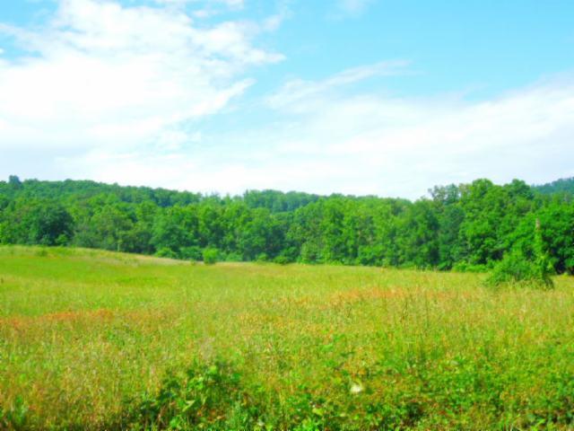 8.37-ac Reeder Town Road Byrdstown, TN 38549 - Photo 7 of 24 07