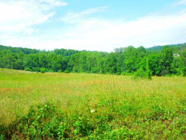 8.37-ac Reeder Town Road Byrdstown, TN 38549 - Photo 8 of 24 08