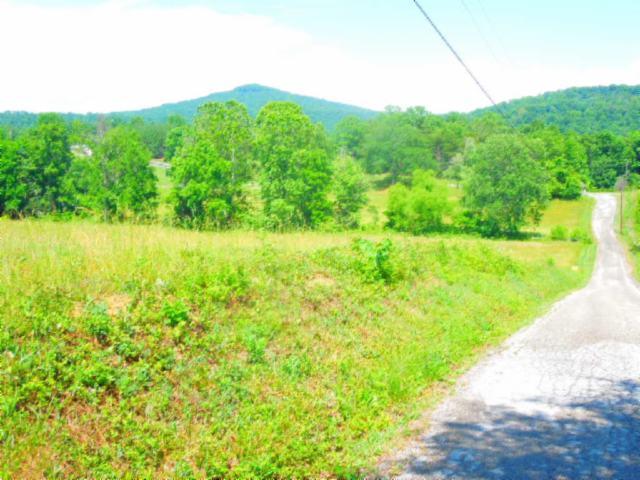 8.37-ac Reeder Town Road Byrdstown, TN 38549 - Photo 9 of 24 09