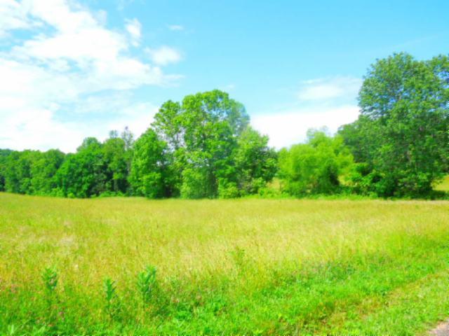 8.37-ac Reeder Town Road Byrdstown, TN 38549 - Photo 10 of 24 10