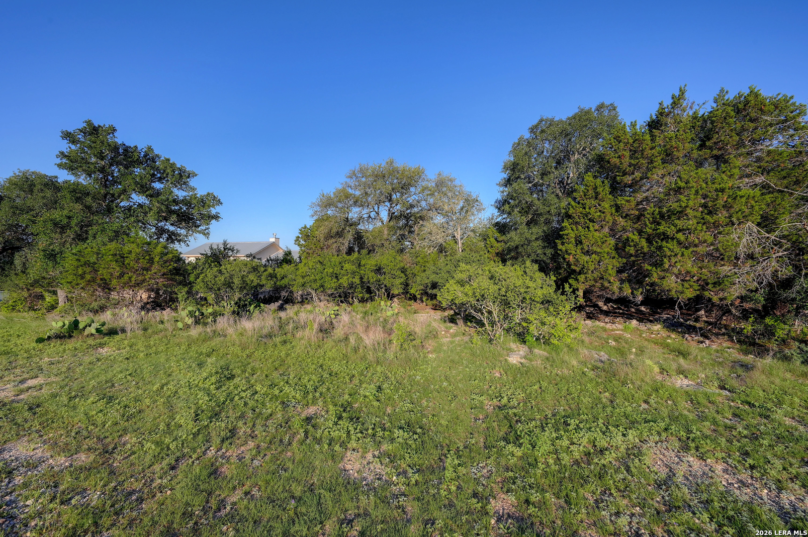 315 Rittimann Road Spring Branch, TX 78070 - Photo 26 of 51