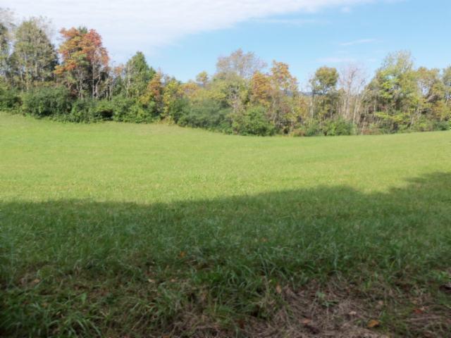 31 57 Ac Doran Road Sparta, TN 38583 - Photo 14 of 17 Gallery Image 14