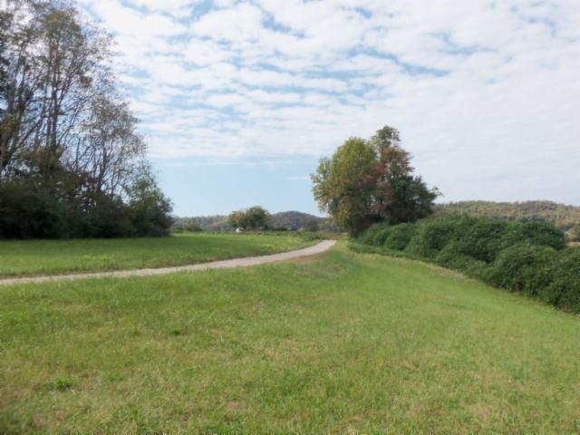 31 57 Ac Doran Road Sparta, TN 38583 - Photo 3 of 17 Gallery Image 3