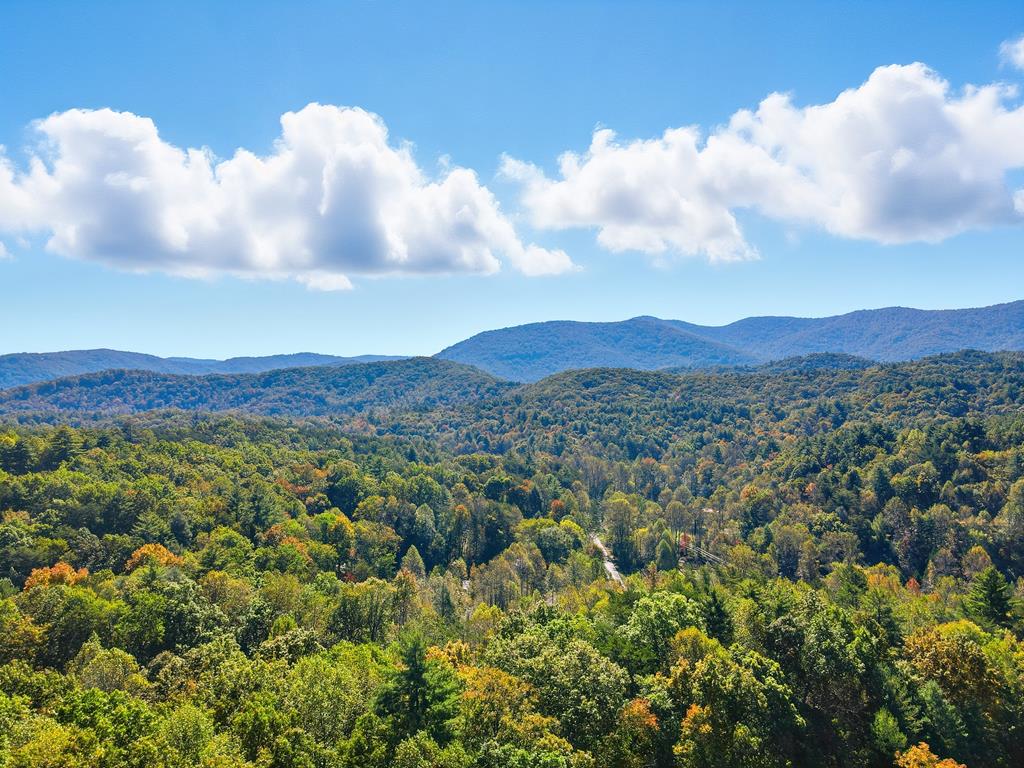 249 Settlement Road Epworth, GA 30541 - Photo 2 of 43 a view of a mountain range with sky view
