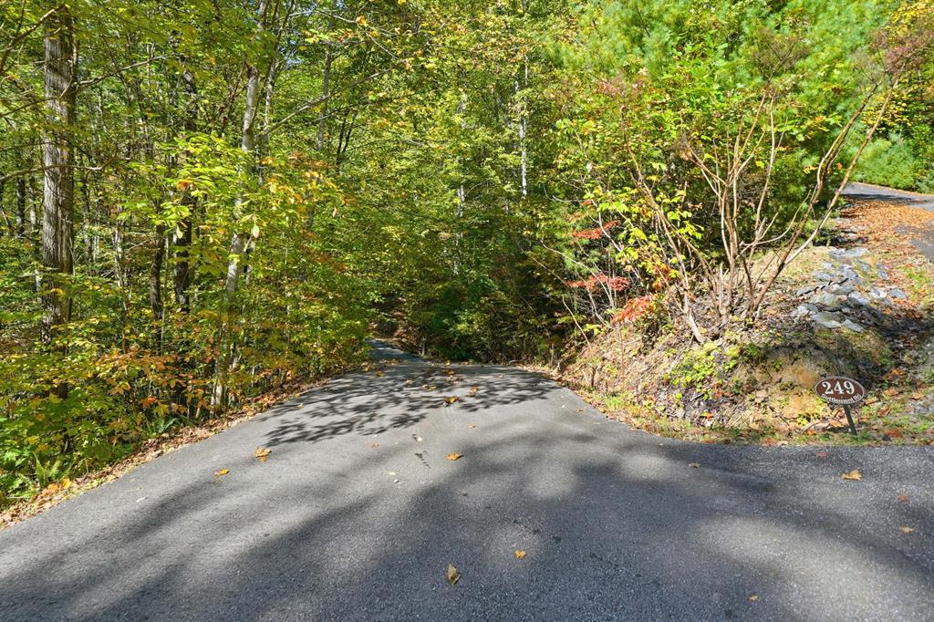 249 Settlement Road Epworth, GA 30541 - Photo 39 of 43 a view of a road with a tree