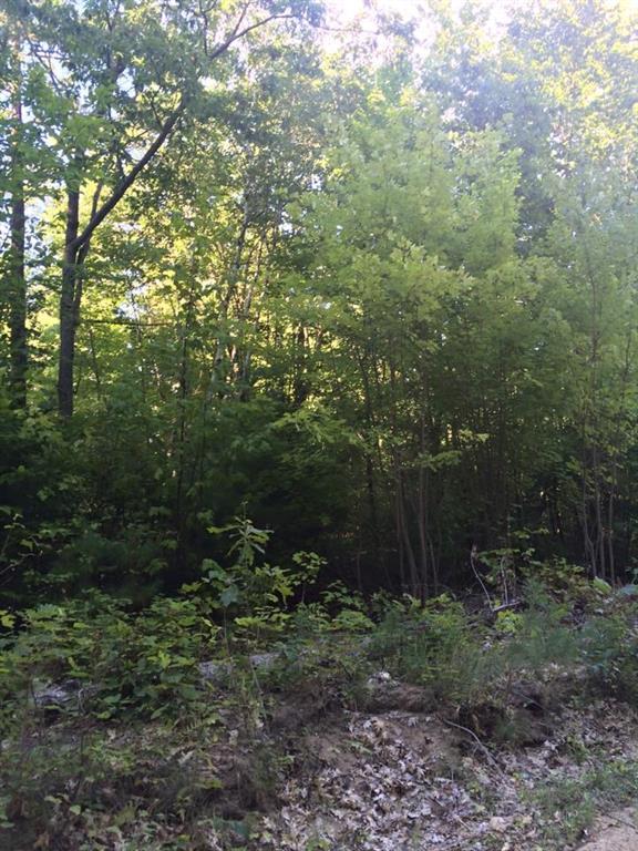 Map 11-lot Map 11-lot Gray Road Shapleigh, ME 04076 - Photo 3 of 3 Photo