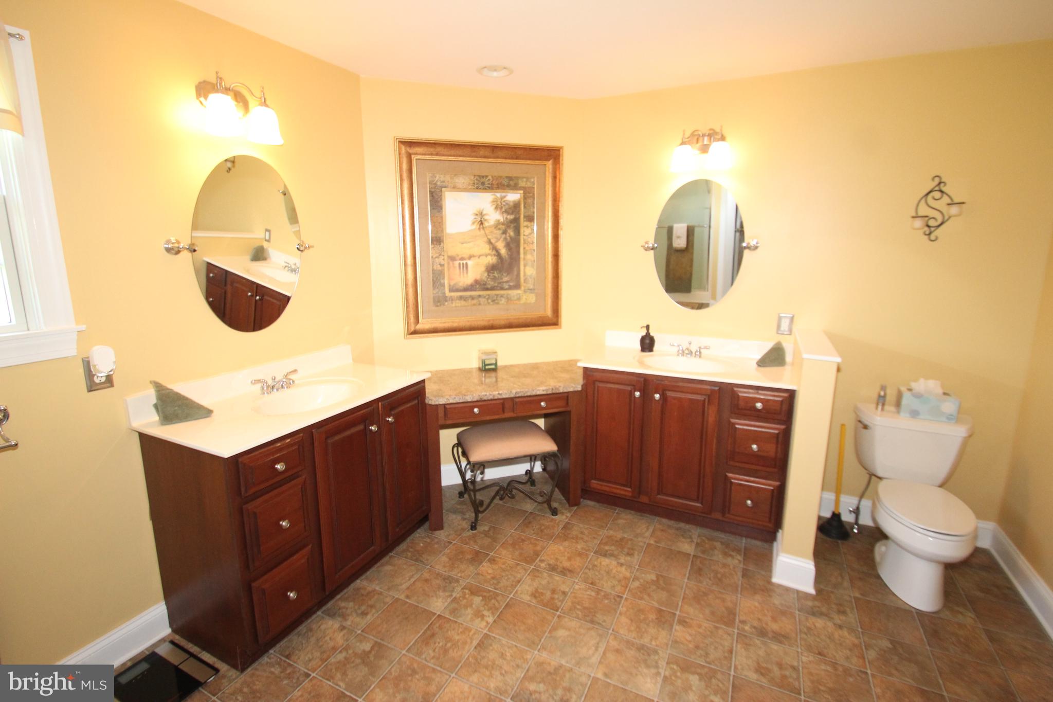 290 Deer Run Road Townsend, DE 19734 - Photo 14 of 25 Master Bath