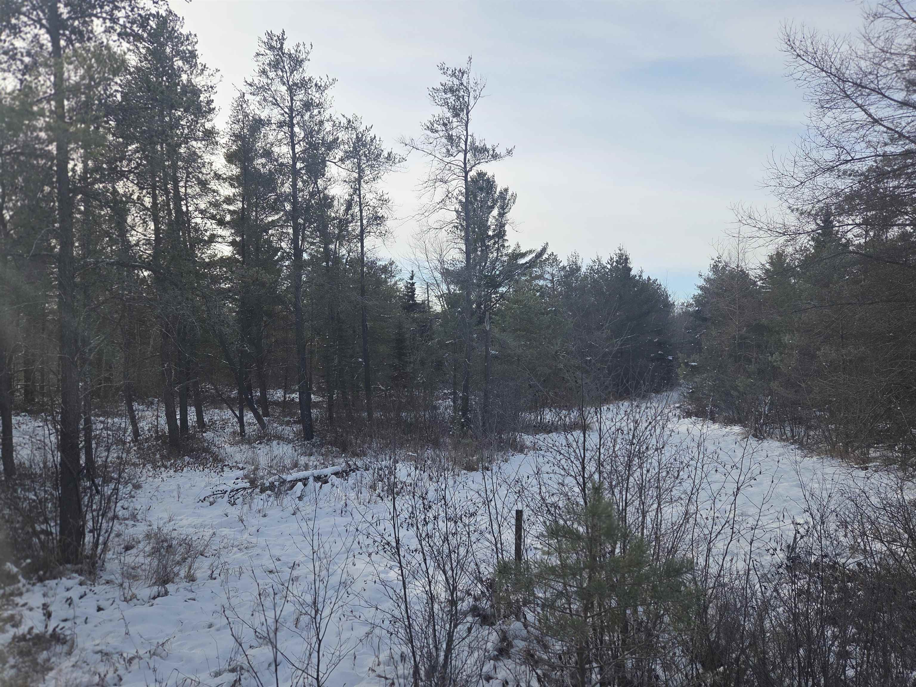 0 South Barlow Road Mikado, MI 48745 - Photo 2 of 28