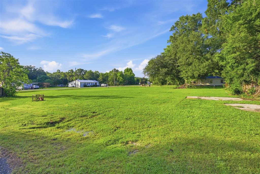 7697 Alabama Avenue Hayes, LA 70646 - Photo 7 of 9