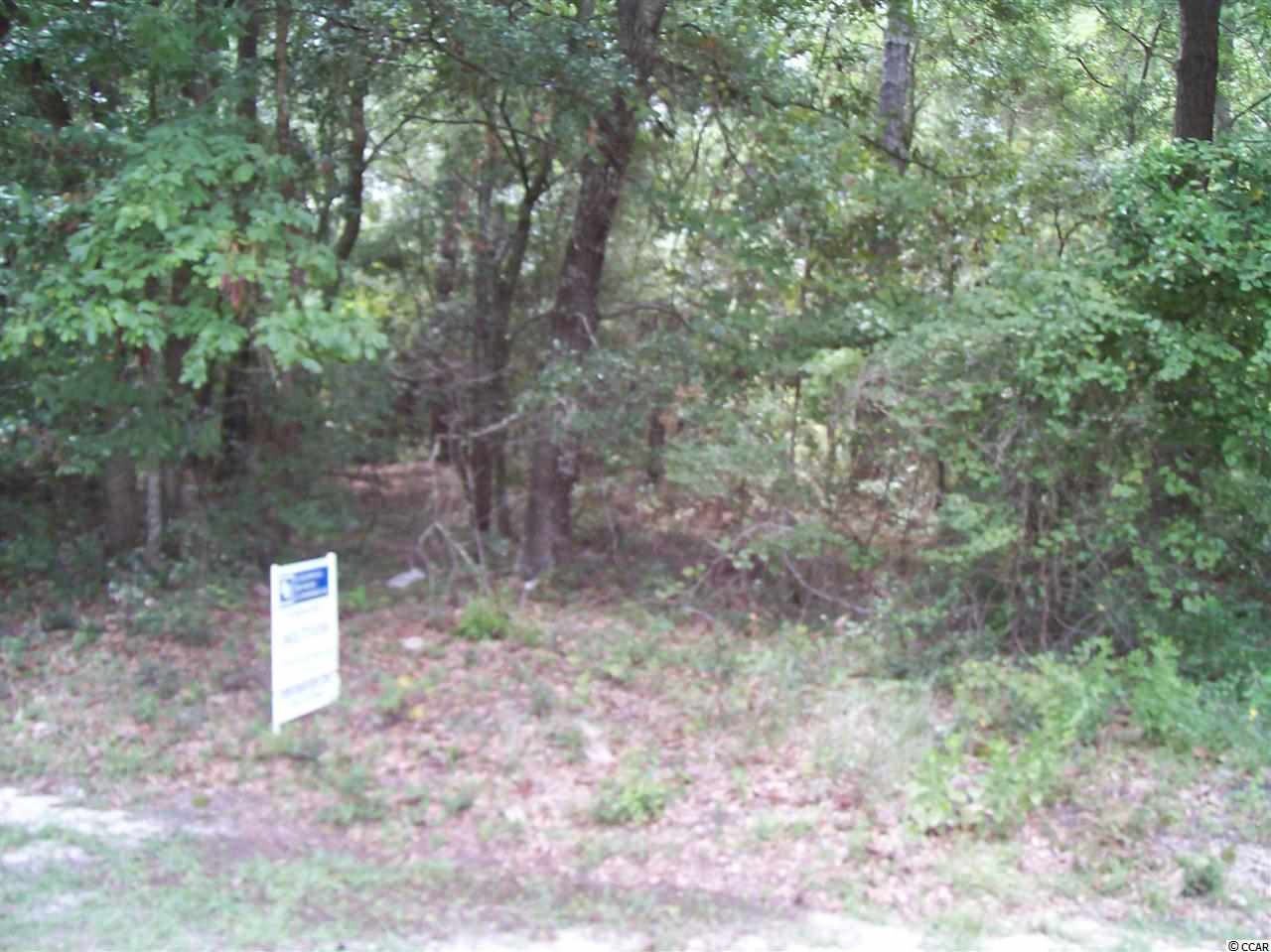 Nelson Road Little River, SC 29566 - Photo 11 of 13 Gallery Image 11